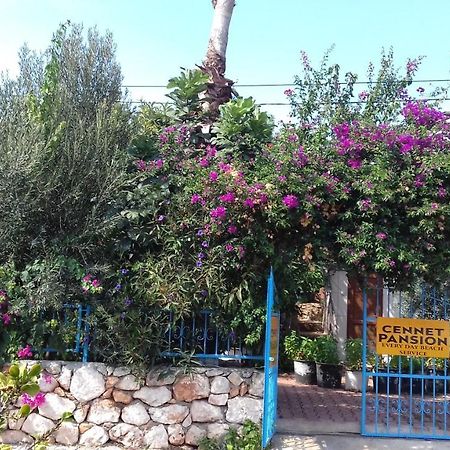 Cennet Pansiyon Hotel Kaleucagiz Exterior photo